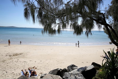 The Cove Noosa - Accommodation Newcastle 26