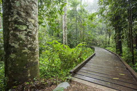 Riviera Mackay - Accommodation Newcastle 25