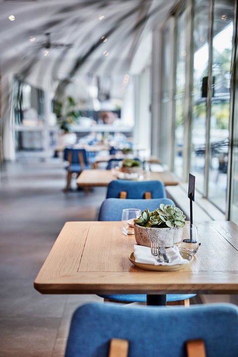 Novotel Cairns Oasis Resort - Accommodation Newcastle 19