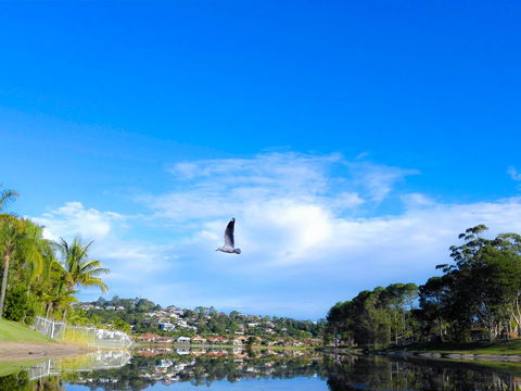 Bay Of Palms - Accommodation Newcastle 18