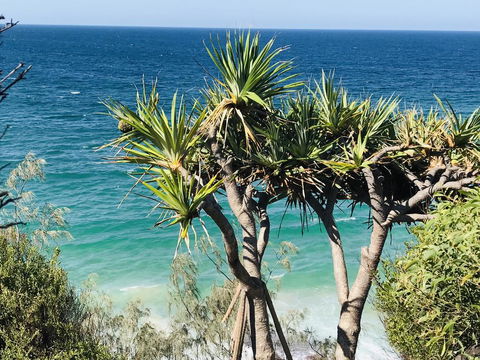 Waves And White Horses Seaview Retreat (adults Only) - Accommodation Newcastle 0