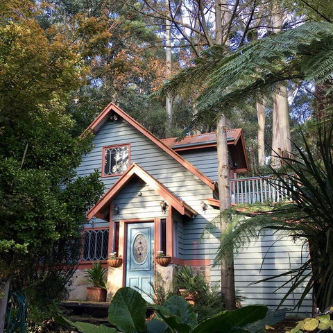 Wild Orchid Olinda - Accommodation Newcastle 3