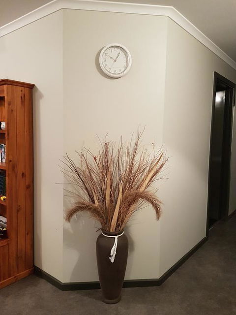 Wudinna Farm View - Accommodation Newcastle 3