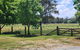 Bahwidgee Lodge - Riverside Retreat - thumb 3