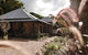 Baxter Lodge - Hinterland Country Luxury - thumb 0