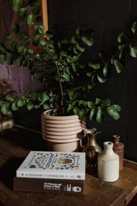 Baxter Lodge - Hinterland Country Luxury - Accommodation Newcastle 4