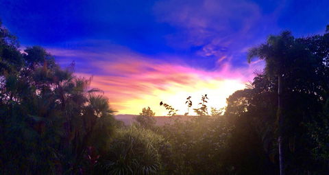 Daintree Manor B&B - Accommodation Newcastle 3