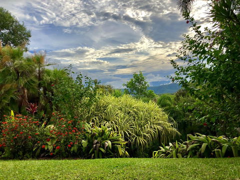 Daintree Manor B&B - Accommodation Newcastle 2