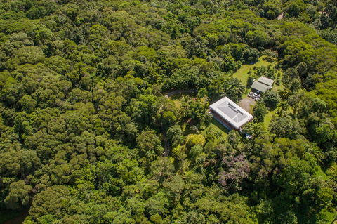 Daintree Manor B&B - Accommodation Newcastle 14