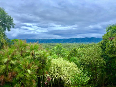 Daintree Manor B&B - Accommodation Newcastle 0