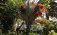Port Douglas Apartments - Adults Only Oasis - thumb 39