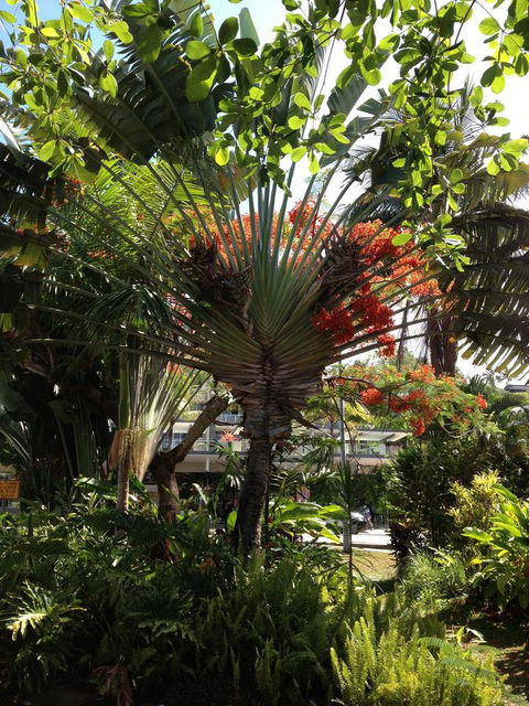 Port Douglas Apartments - Adults Only Oasis - Accommodation Newcastle 39