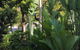 Port Douglas Apartments - Adults Only Oasis - thumb 1