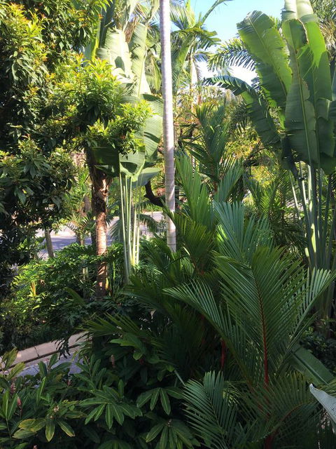 Port Douglas Apartments - Adults Only Oasis - Accommodation Newcastle 1