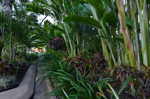 Port Douglas Apartments - Adults Only Oasis - Accommodation Newcastle 9