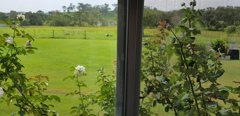 Hay Point Country BnB - Accommodation Newcastle 6