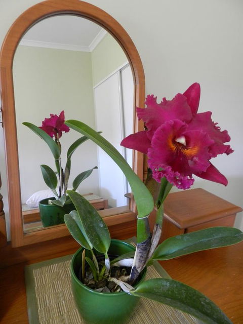 Hay Point Country BnB - Accommodation Newcastle 10