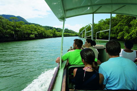 Martinique On Macrossan - Accommodation Newcastle 28
