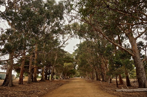 Hanson Bay Cabins - Accommodation Newcastle 21