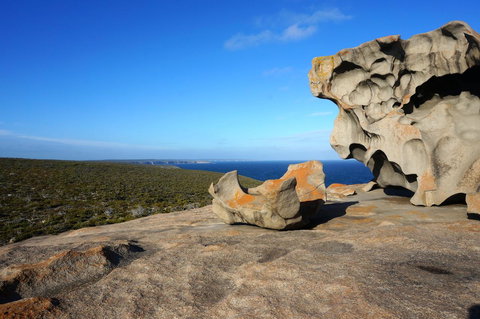 Hanson Bay Cabins - Accommodation Newcastle 22