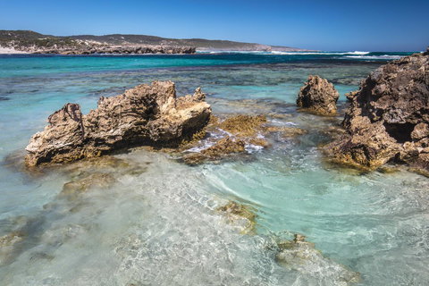 Hanson Bay Cabins - Accommodation Newcastle 1