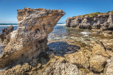 Hanson Bay Cabins - Accommodation Newcastle 2