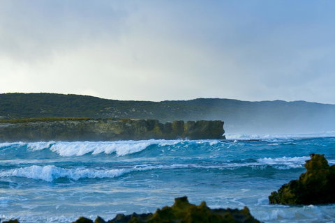 Hanson Bay Cabins - Accommodation Newcastle 18