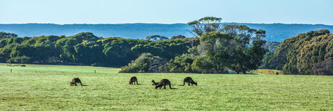 Hanson Bay Cabins - Accommodation Newcastle 23