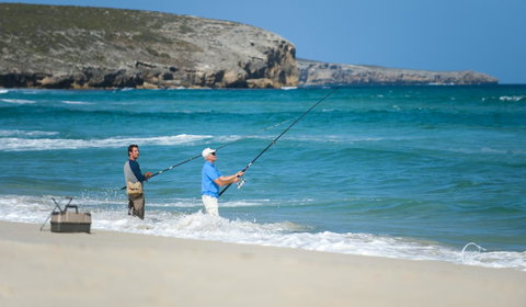 Hanson Bay Cabins - Accommodation Newcastle 17