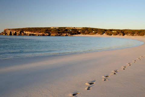 Hanson Bay Cabins - Accommodation Newcastle 16