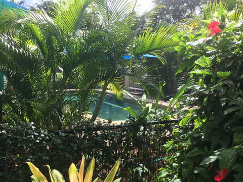 Tropical Palms Resort & 4WD Hire - Accommodation Newcastle 19