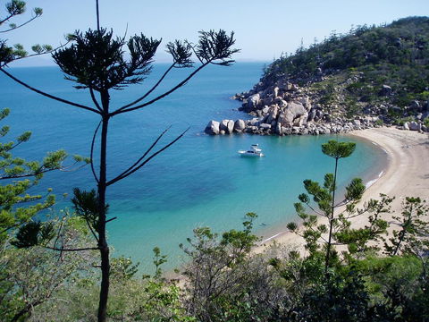 Tropical Palms Resort & 4WD Hire - Accommodation Newcastle 33