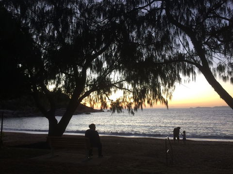 Tropical Palms Resort & 4WD Hire - Accommodation Newcastle 12