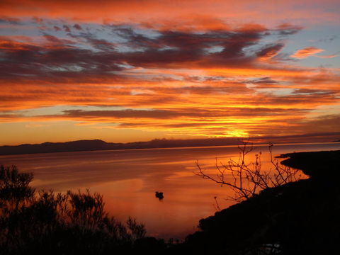 Tropical Palms Resort & 4WD Hire - Accommodation Newcastle 30