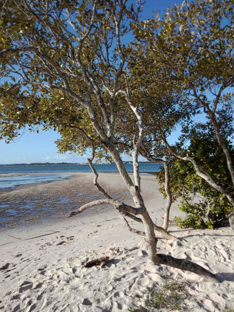 Modern Beach Villa - Accommodation Newcastle 15