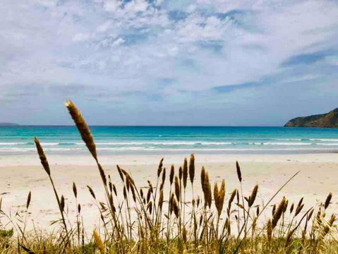 Modern Beach Villa - Accommodation Newcastle 14