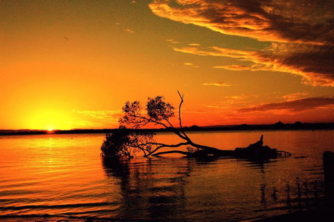 Pet Friendly Cottage In The Heart Of Bribie - Wirraway St, Bongaree - Accommodation Newcastle 8