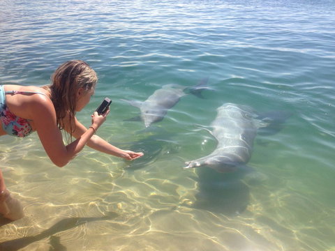 Sea Shanties - Accommodation Newcastle 10