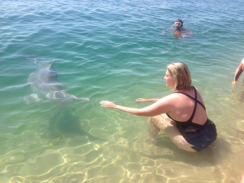 Sea Shanties - Accommodation Newcastle 4