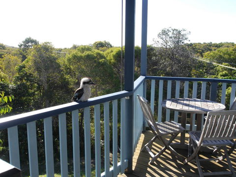 Blue House - Accommodation Newcastle 0