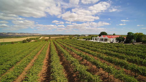 1837 Barossa Luxury Vineyard Cottages - Accommodation Newcastle 0