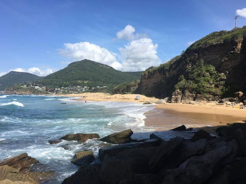 Beach To Bush - Accommodation Newcastle 4
