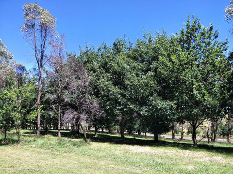 Beaconsfield Cottage - Accommodation Newcastle 2
