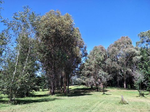 Beaconsfield Cottage - Accommodation Newcastle 3