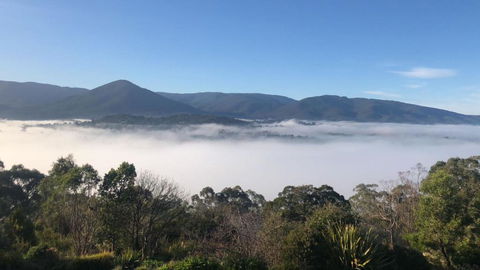 Beauty Of Healesville - Accommodation Newcastle 3
