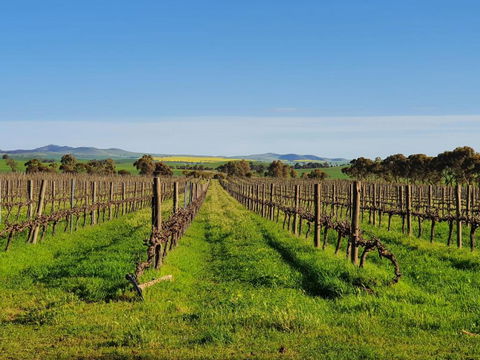 Belalie Wines - Accommodation Newcastle 3
