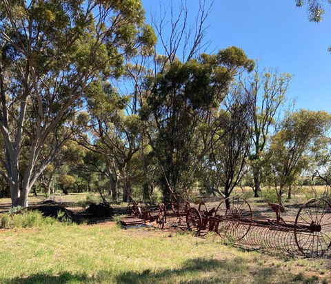 Belalie Wines - Accommodation Newcastle 4