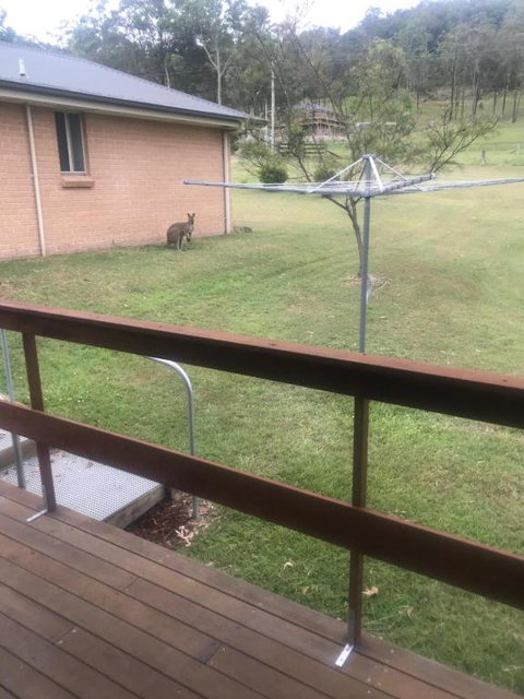 BIKABISA - Accommodation Newcastle 4