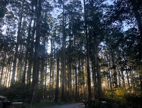 Cambridge Cottages - Accommodation Newcastle 2