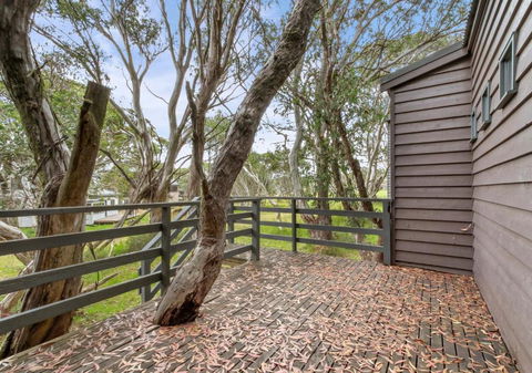 Caribou - Accommodation Newcastle 1